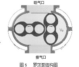 ZJ_ձ